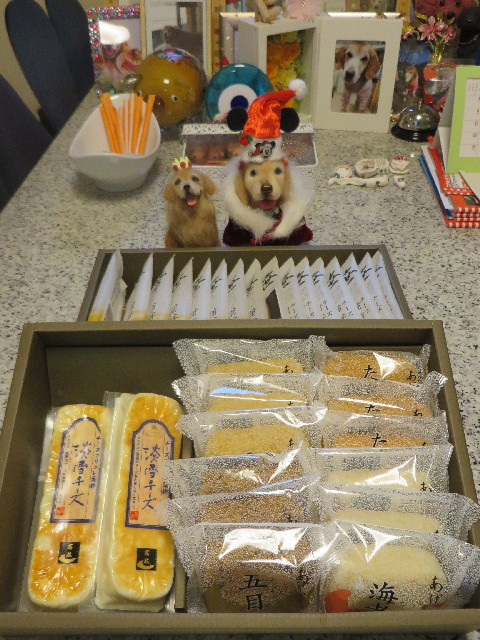 ファイル 3951-3.jpg