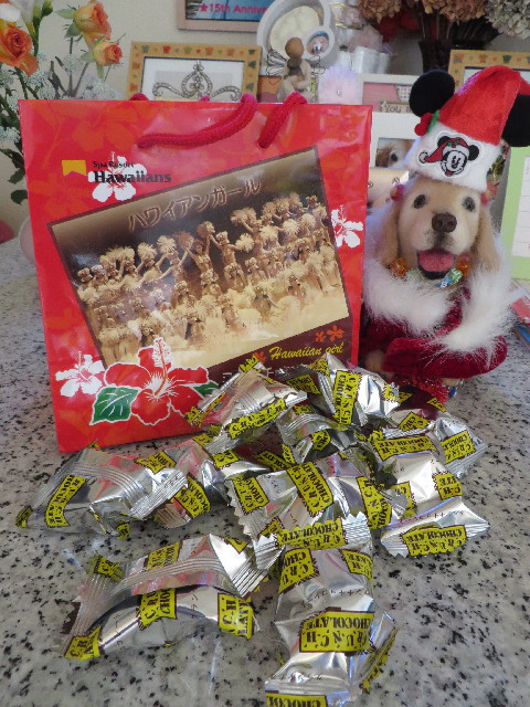 ファイル 3955-3.jpg