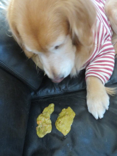 ファイル 3956-1.jpg