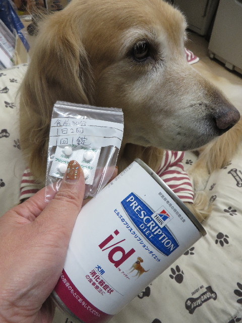 ファイル 3956-4.jpg