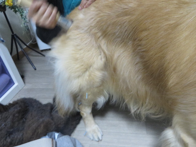 ファイル 3957-3.jpg