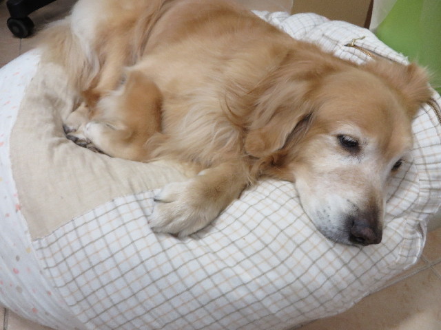 ファイル 3957-4.jpg