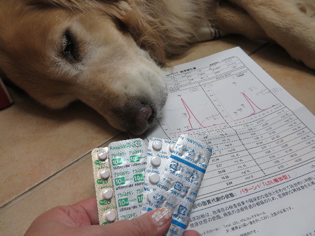 ファイル 3960-2.jpg