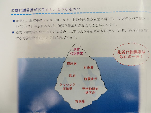 ファイル 3960-3.jpg