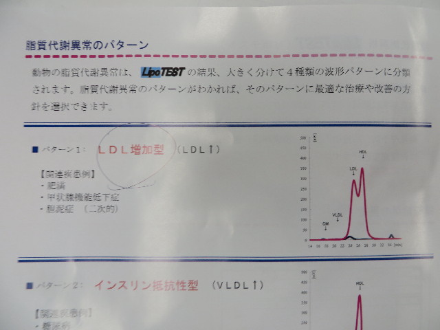 ファイル 3960-4.jpg