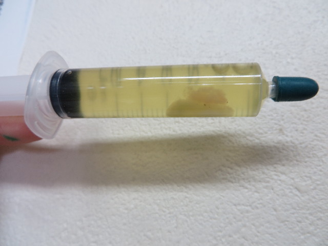 ファイル 3962-2.jpg