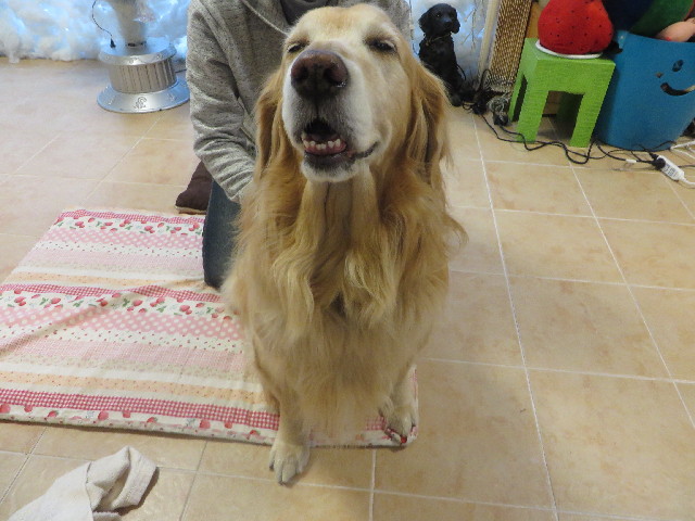 ファイル 3963-1.jpg