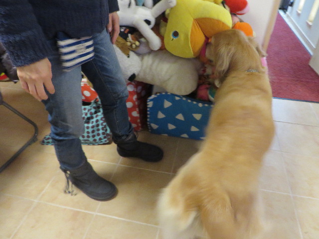 ファイル 3963-2.jpg