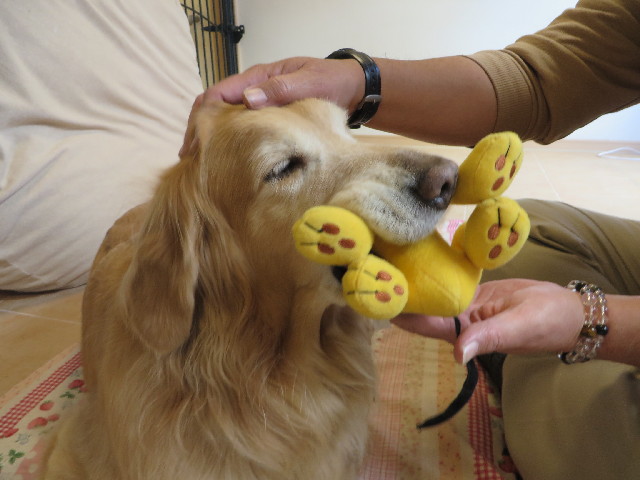 ファイル 3963-3.jpg