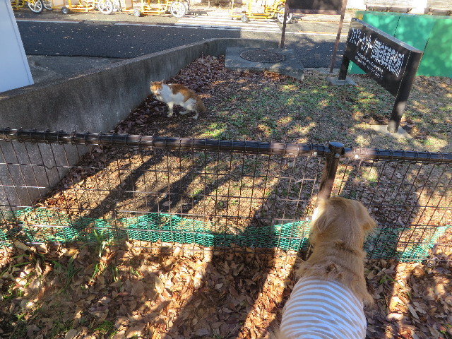 ファイル 3963-4.jpg