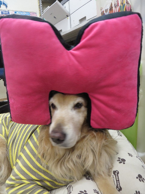 ファイル 3964-3.jpg