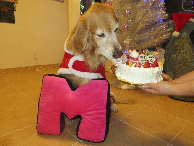 ファイル 3964-4.jpg