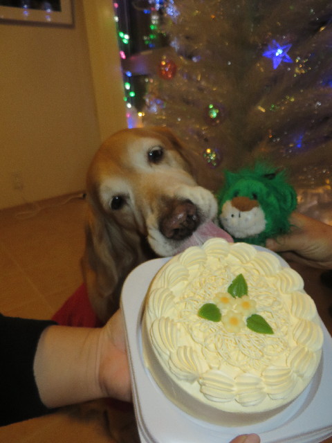 ファイル 3965-2.jpg