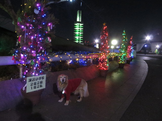 ファイル 3966-1.jpg