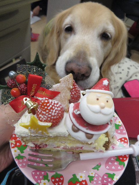 ファイル 3967-1.jpg