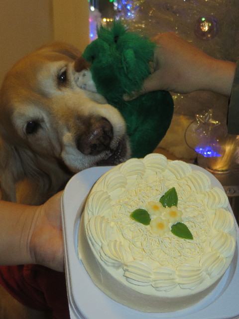 ファイル 3967-3.jpg