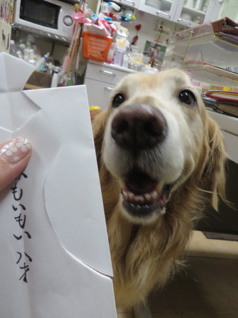 ファイル 3968-2.jpg