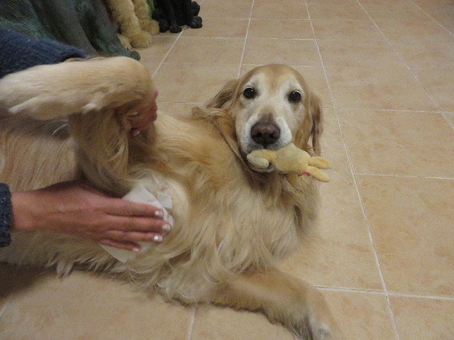 ファイル 3968-3.jpg