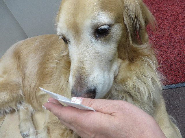 ファイル 3968-4.jpg