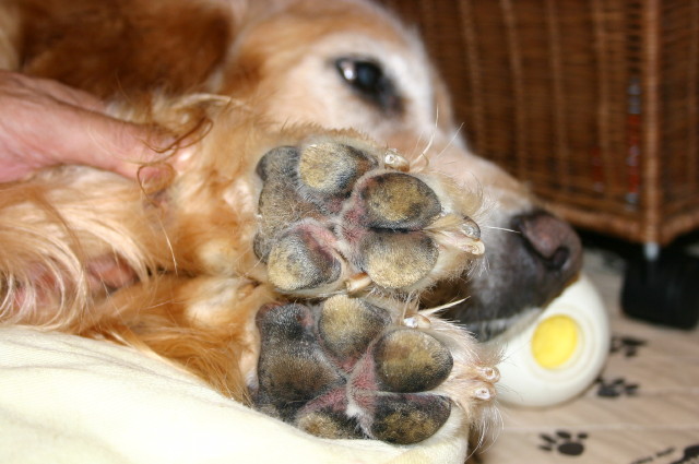 ファイル 397-2.jpg