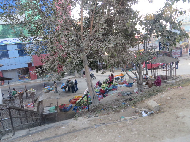 ファイル 3971-1.jpg