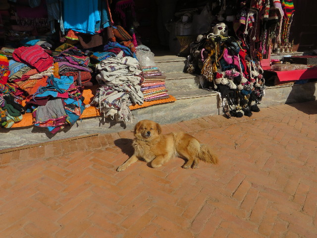 ファイル 3973-4.jpg