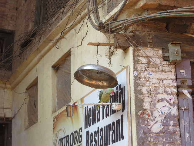 ファイル 3978-4.jpg