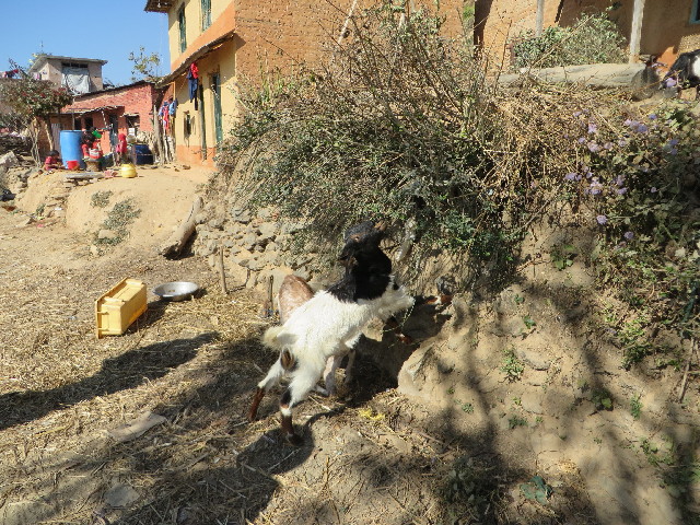 ファイル 3986-2.jpg