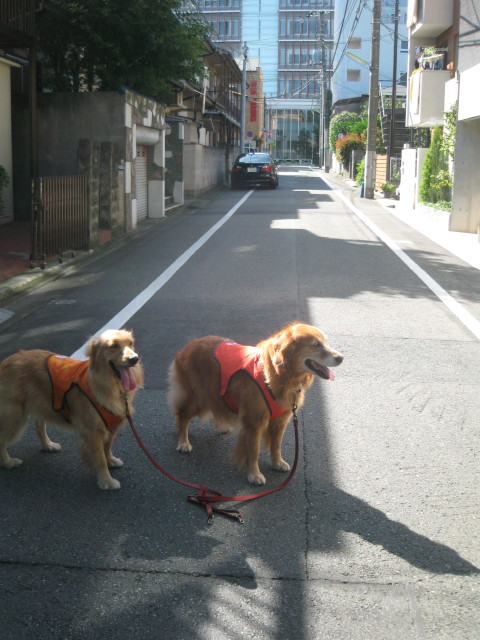 ファイル 399-5.jpg