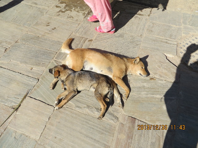 ファイル 3991-1.jpg