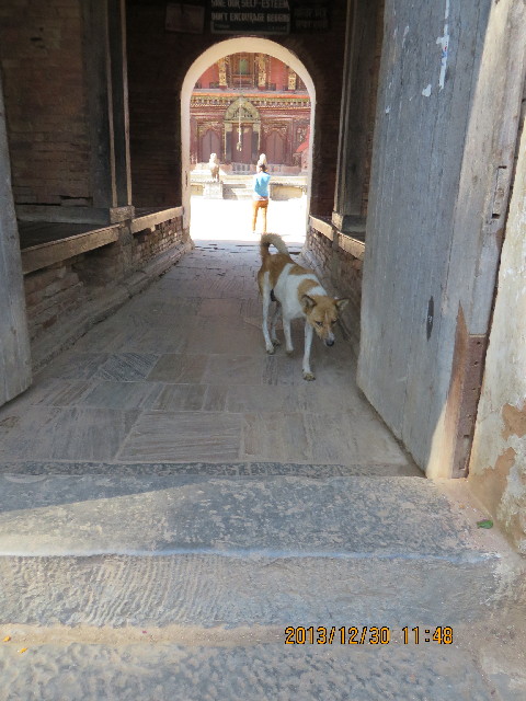 ファイル 3991-2.jpg