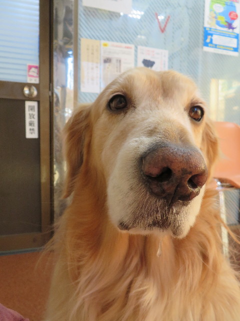 ファイル 3996-2.jpg