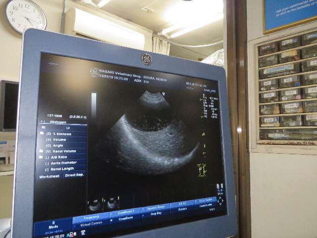 ファイル 3996-3.jpg