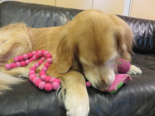 ファイル 3997-3.jpg