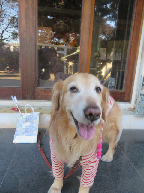 ファイル 3998-2.jpg