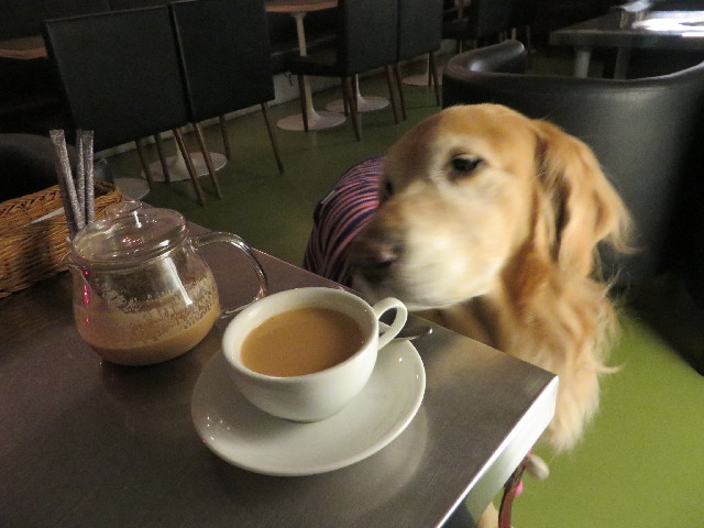 ファイル 3999-1.jpg