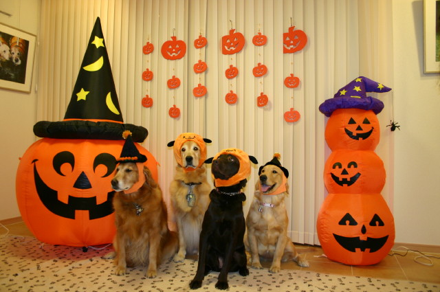 ファイル 400-5.jpg