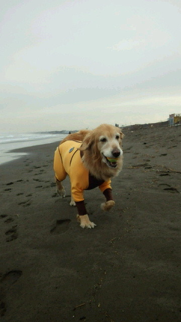 ファイル 4000-2.jpg