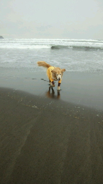 ファイル 4000-4.jpg