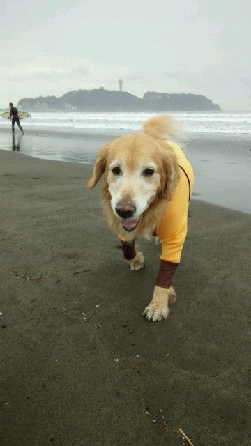 ファイル 4000-5.jpg