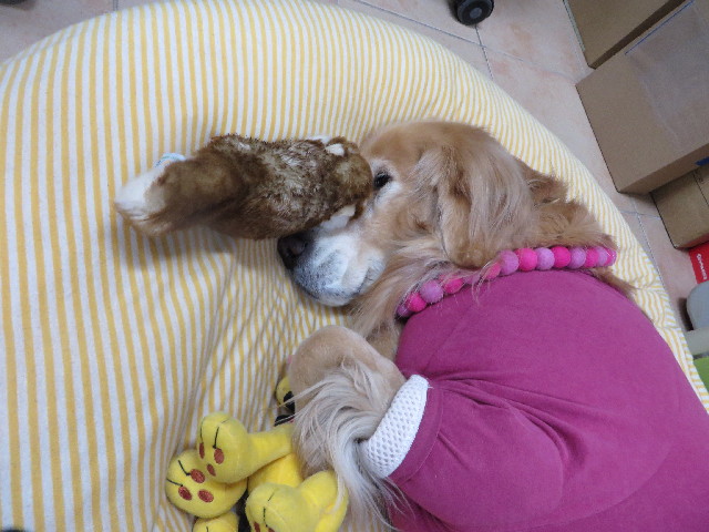 ファイル 4004-3.jpg