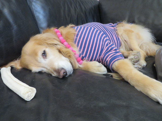 ファイル 4004-4.jpg