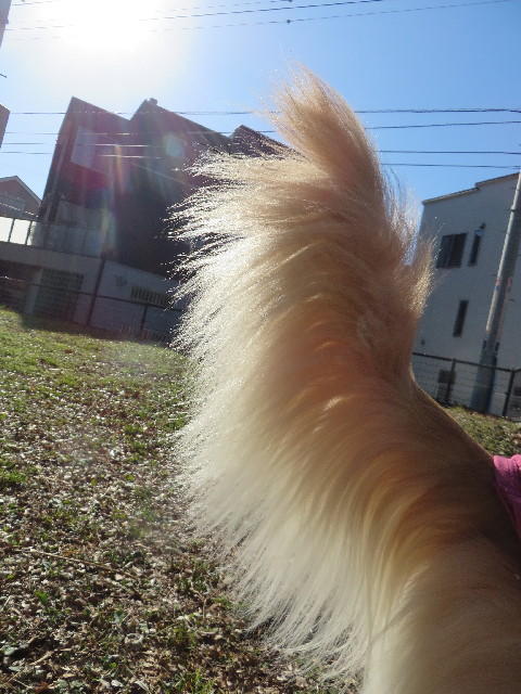 ファイル 4005-1.jpg