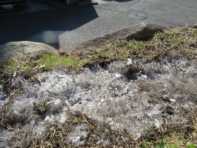 ファイル 4005-2.jpg