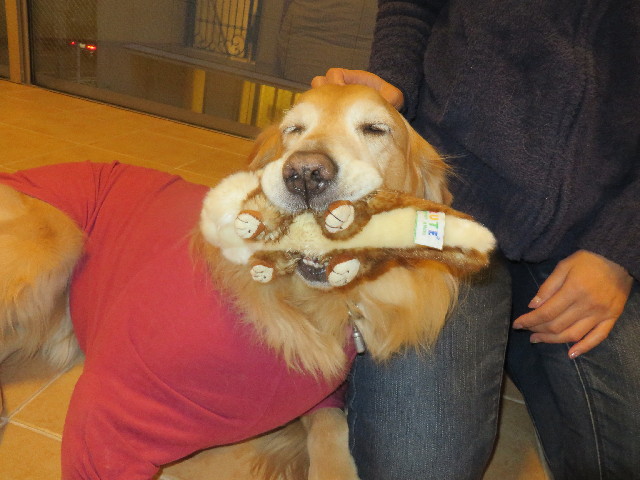 ファイル 4005-4.jpg