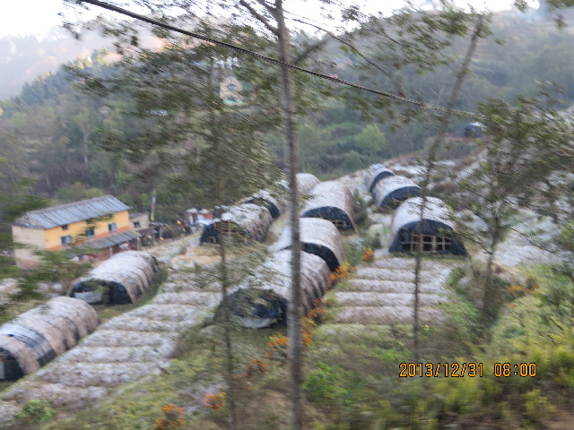 ファイル 4006-1.jpg