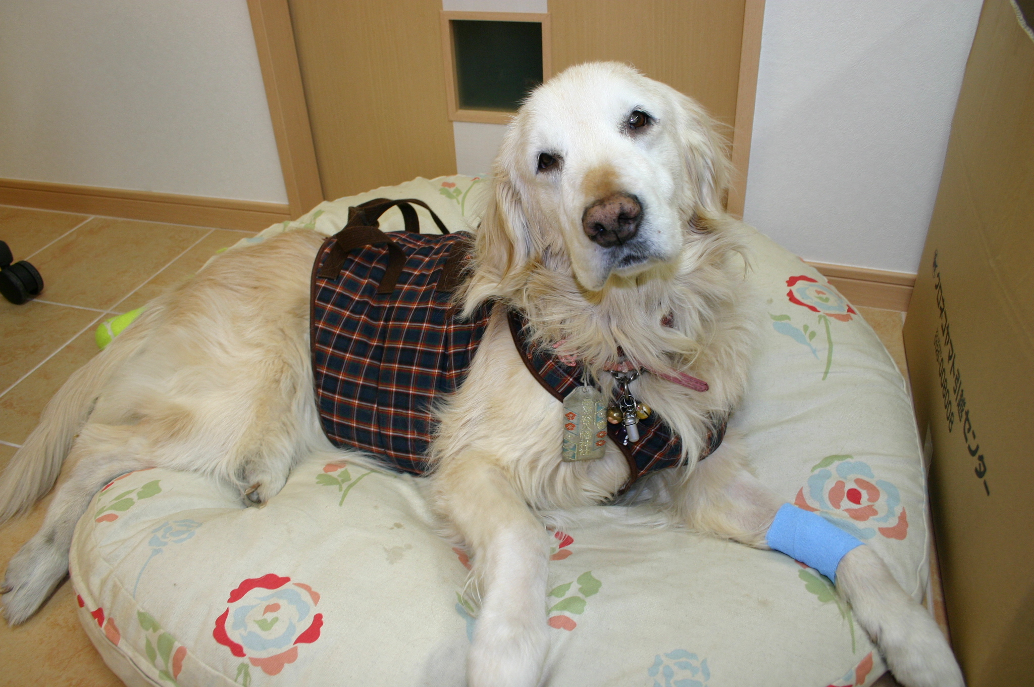 ファイル 4007-3.jpg