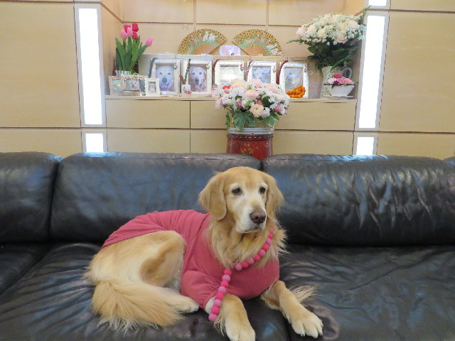 ファイル 4007-4.jpg