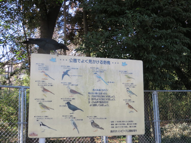 ファイル 4011-4.jpg