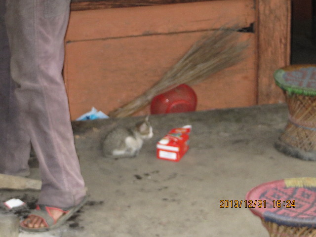 ファイル 4015-3.jpg